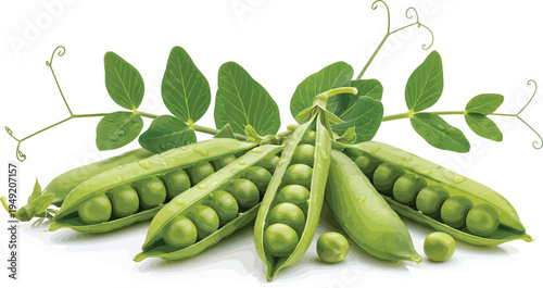 Green Peas Pods with Leaves on White Background