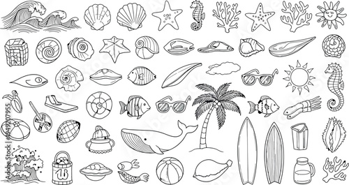 Collection of various botanical illustrations isolated on transparent background