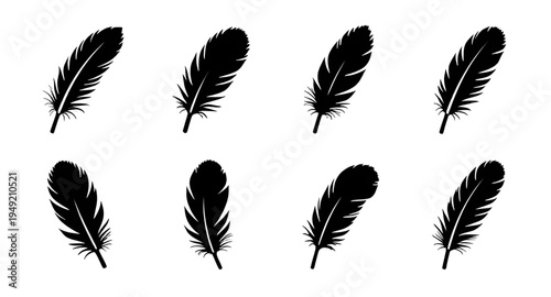 feather, feathers, plume, plumes, quill, quills, wing, wings, bird, avian, nature, light, soft, fluffy, floating, falling, fly, flying, silhouette, silhouettes, shadow, black, outline, shape, icon, sy