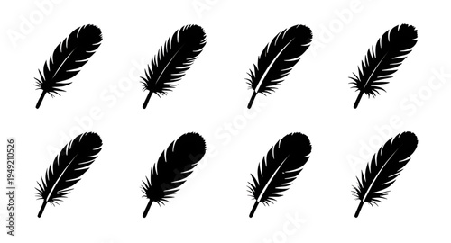 feather, feathers, plume, plumes, quill, quills, wing, wings, bird, avian, nature, light, soft, fluffy, floating, falling, fly, flying, silhouette, silhouettes, shadow, black, outline, shape, icon, sy