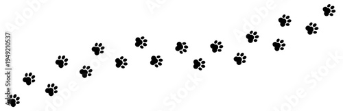 Paw Footprint Walk Steps Pattern of dog or cat wild animal on Transparent White Background