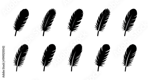 feather, feathers, plume, plumes, quill, quills, wing, wings, bird, avian, nature, light, soft, fluffy, floating, falling, fly, flying, silhouette, silhouettes, shadow, black, outline, shape, icon, sy