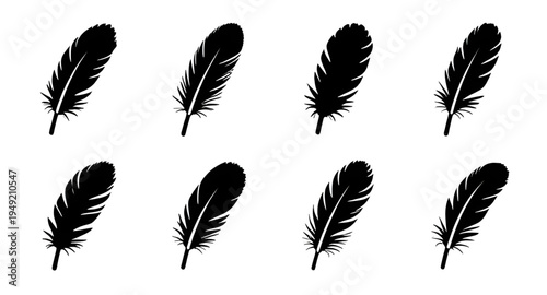feather, feathers, plume, plumes, quill, quills, wing, wings, bird, avian, nature, light, soft, fluffy, floating, falling, fly, flying, silhouette, silhouettes, shadow, black, outline, shape, icon, sy