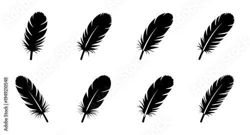feather, feathers, plume, plumes, quill, quills, wing, wings, bird, avian, nature, light, soft, fluffy, floating, falling, fly, flying, silhouette, silhouettes, shadow, black, outline, shape, icon, sy