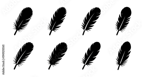 feather, feathers, plume, plumes, quill, quills, wing, wings, bird, avian, nature, light, soft, fluffy, floating, falling, fly, flying, silhouette, silhouettes, shadow, black, outline, shape, icon, sy