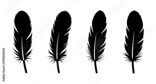 feather, feathers, plume, plumes, quill, quills, wing, wings, bird, avian, nature, light, soft, fluffy, floating, falling, fly, flying, silhouette, silhouettes, shadow, black, outline, shape, icon, sy
