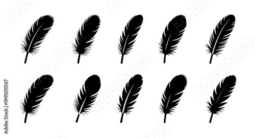 feather, feathers, plume, plumes, quill, quills, wing, wings, bird, avian, nature, light, soft, fluffy, floating, falling, fly, flying, silhouette, silhouettes, shadow, black, outline, shape, icon, sy