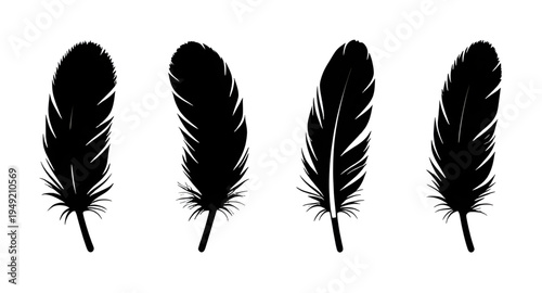 feather, feathers, plume, plumes, quill, quills, wing, wings, bird, avian, nature, light, soft, fluffy, floating, falling, fly, flying, silhouette, silhouettes, shadow, black, outline, shape, icon, sy