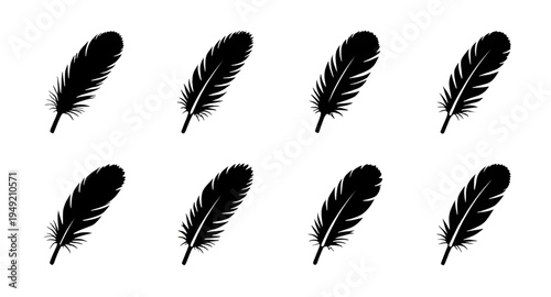 feather, feathers, plume, plumes, quill, quills, wing, wings, bird, avian, nature, light, soft, fluffy, floating, falling, fly, flying, silhouette, silhouettes, shadow, black, outline, shape, icon, sy