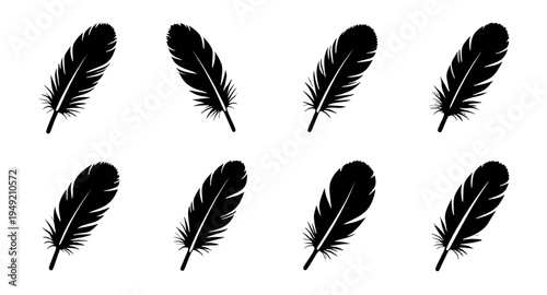 feather, feathers, plume, plumes, quill, quills, wing, wings, bird, avian, nature, light, soft, fluffy, floating, falling, fly, flying, silhouette, silhouettes, shadow, black, outline, shape, icon, sy