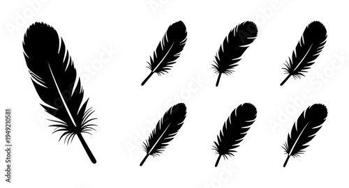 feather, feathers, plume, plumes, quill, quills, wing, wings, bird, avian, nature, light, soft, fluffy, floating, falling, fly, flying, silhouette, silhouettes, shadow, black, outline, shape, icon, sy