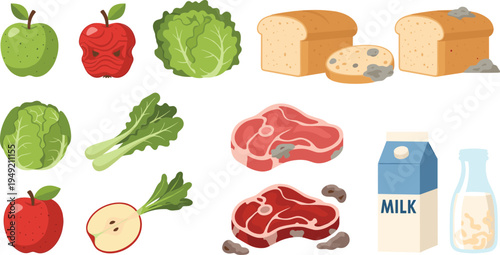 Healthy and Spoiled Food Vector Set with Fruits Vegetables Bread Meat Milk Moldy Rotten Fresh Grocery Illustration Collection