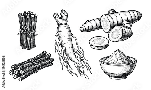 Ginseng roots turmeric spice and cinnamon sticks vector illustration set