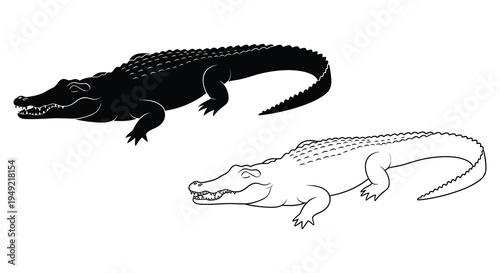 Alligator illustration featuring both solid and outline forms a striking silhouette