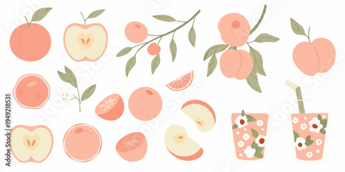 Collection of stylized peach illustrations with slices and juice glasses