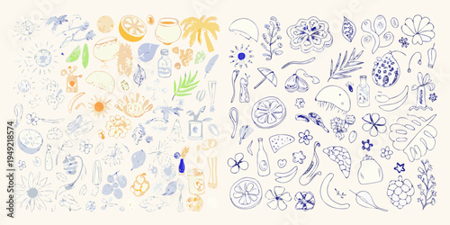Whimsical floral and fruit doodles in pastel blue and orange hues