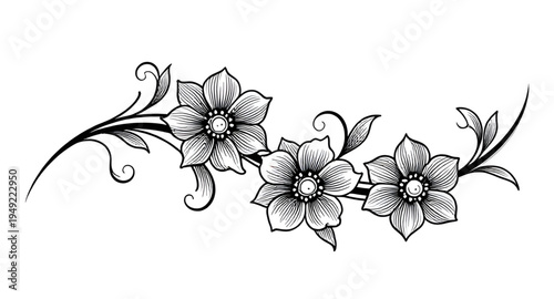 abstract, black, white, floral, flower, blossom, bloom, petals, botanical, foliage, leaves, plant, nature, decorative, ornament, pattern, design, motif, art, artwork, illustration, vector, graphic, cl