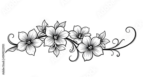 abstract, black, white, floral, flower, blossom, bloom, petals, botanical, foliage, leaves, plant, nature, decorative, ornament, pattern, design, motif, art, artwork, illustration, vector, graphic, cl