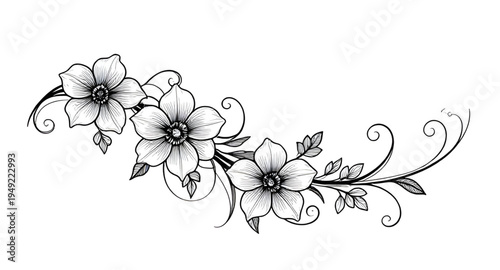 abstract, black, white, floral, flower, blossom, bloom, petals, botanical, foliage, leaves, plant, nature, decorative, ornament, pattern, design, motif, art, artwork, illustration, vector, graphic, cl