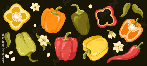 Colorful bell peppers, chili peppers and jalapenos. Whole, halves and slices of vegetables. Organic farm products isolated on dark background.