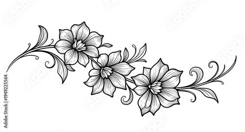 abstract, black, white, floral, flower, blossom, bloom, petals, botanical, foliage, leaves, plant, nature, decorative, ornament, pattern, design, motif, art, artwork, illustration, vector, graphic, cl