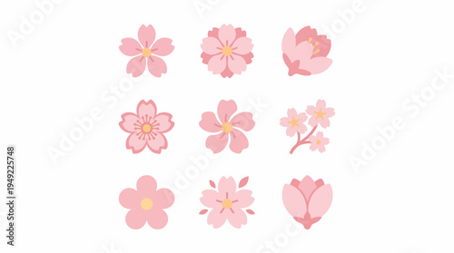 Seamless spring pattern of pink magnolia flowers  in a vintage floral vector illustration on a white backdrop decoration