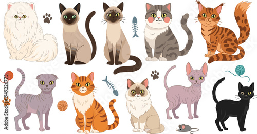 Cute Domestic Cat Breeds Collection with Persian, Siamese, Bengal, Tabby, Sphynx and Black Cat Cartoon Pet Vector Illustration Set.