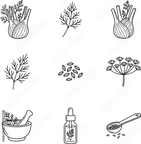 Herbs and spices outline icons set with fennel dill seeds mortar pestle bottle spoon herbal cooking vector illustration collection