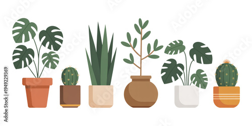 A colorful illustration of various potted plants and cacti in different pots and vases