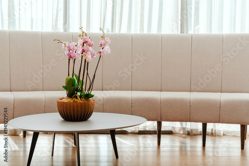 Pink Orchid Plant On Coffee Table In Elegant Living Room