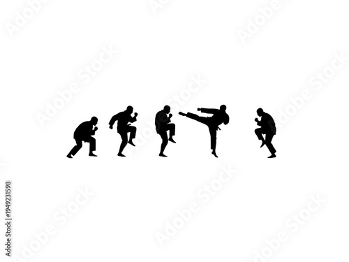 Karate Martial Arts Silhouettes Performing Combat Poses on White