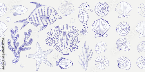 Hand drawn illustration of various marine life and seashells on a white background