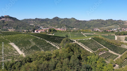 cultivated fields in Piedmont, Italy