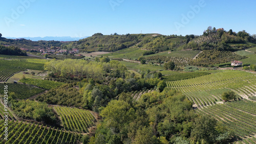 Barbaresco village and Langhe vineyards in Piedmont, Italy