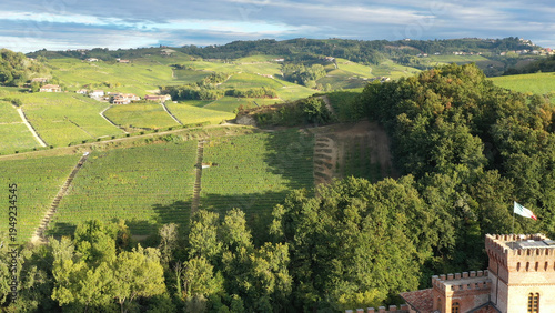 cultivated fields in Piedmont, Italy
