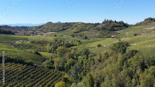 cultivated fields in Piedmont, Italy