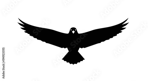 Black Bird Silhouette Flying High.