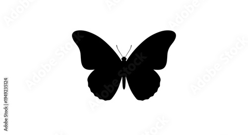 Black Butterfly Silhouette Flying.