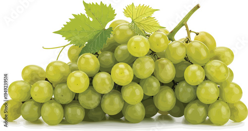 Green Grapes with Leaves on White Background