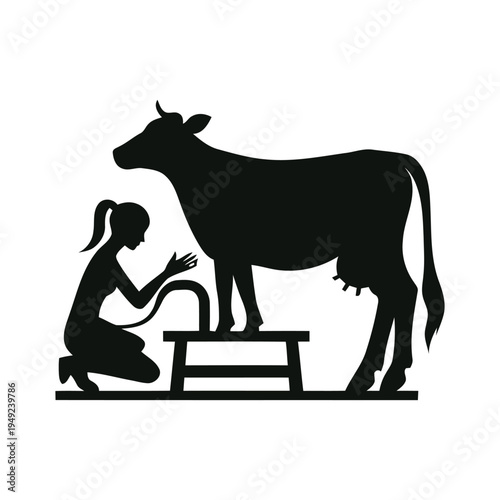 Female farmer milking a cow manually in a traditional village way