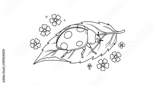 Cute minimal line art illustration of a ladybug on a leaf with spring flowers, perfect for coloring