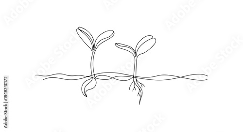 Cute minimal line art illustration of two seedlings growing in spring with roots visible