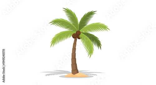 Isolated Tropical Palm Tree with Coconuts and Green Fronds.