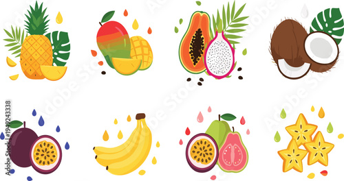 Tropical Fruit Collection with Pineapple, Mango, Papaya, Dragon Fruit, Coconut, Banana, Passion Fruit, Guava and Starfruit Vector Illustration Set.