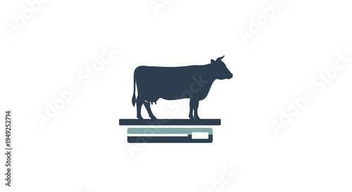 Black cow standing on a platform.