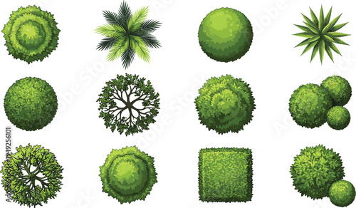 Tree and shrub top-view illustration collection featuring round, palm, succulent, hedge foliage, landscaping aerial vector design set