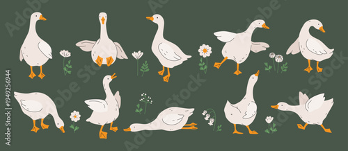 Cute geese. White geese or ducks and wildflowers. Agriculture, birds farm. Rural wildlife. Silly goose for greeting, invitation cards, baby shower, Easter, nursery, t-shirt prints. Vector illustration