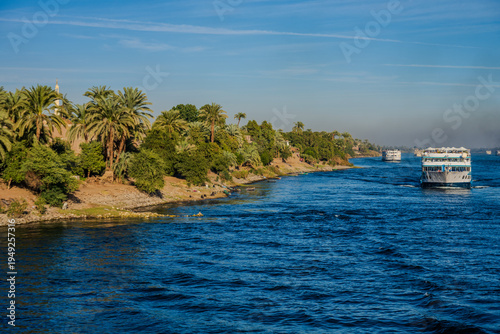 River cruise boats on the Nile with palm-lined shore