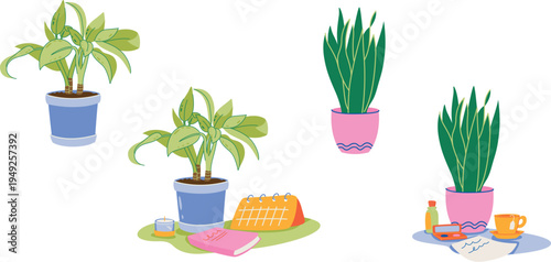 Houseplants Collection with Home Decor and Workspace Elements Vector Illustration