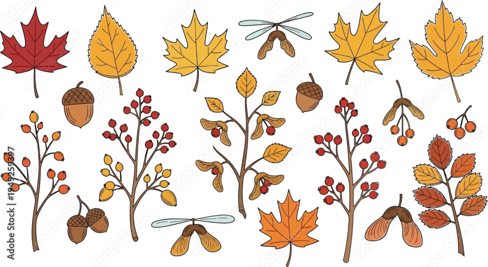 Fototapeta premium A colorful illustration of various autumn leaves, acorns, and dragonflies on a white background